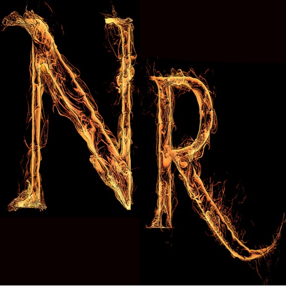 nixiarinn